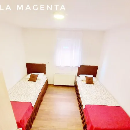 Magenta * Belgrad